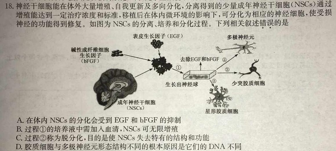 2023年江西省年南昌市南昌县九年级第二次评估检测生物学试题答案