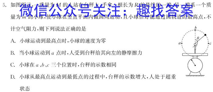 安徽省2023-2024学年九年级第一学期教学质量检测（二）h物理