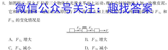 2023年全国名校高一第一学期期中考试试卷（必修上册-BB-X-F-1-唐A）物理`