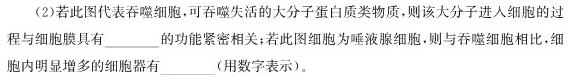 江西省2023-2024学年度七年级上学期第三次月考（二）生物学试题答案