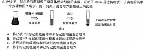 九师联盟 2024届高三12月质量检测X生物