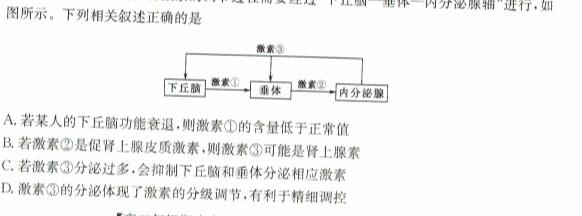 安徽省2023-2024学年度高二高中同步月考测试卷（二）生物学试题答案