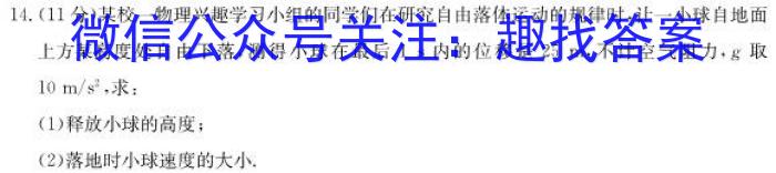 2024届广东省高三试题11月联考(24-142C)l物理