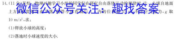 2024年全国高考仿真模拟卷(六)6物理试题答案