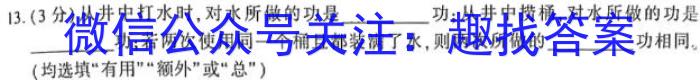 安徽省2023-2024学年八年级（上）全程达标卷·单元达标卷（四）f物理