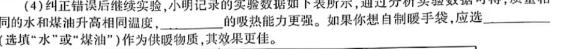 [今日更新]九师联盟 2024届高三11月质量检测巩固卷(XG/LG/(新教材-L)G).物理试卷答案