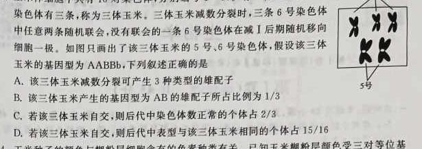 2023年江西省年南昌市南昌县九年级第二次评估检测生物