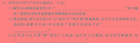 学科网2024届高三11月大联考考后强化卷(新课标卷)语文