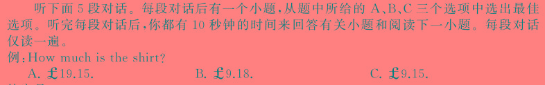 陕西省2024届高三期中测试(24-162C)英语