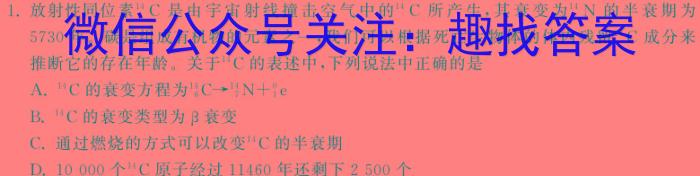 2024届衡水金卷先享题调研卷(JJ·A)(一)f物理