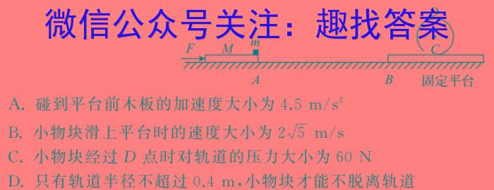 安徽省2023-2024学年度九年级阶段诊断(PGZXF-AH)(三)物理试卷答案