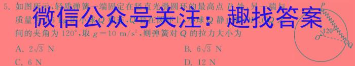 金考卷 百校联盟(新高考卷)2024年普通高等学校招生全国统一考试 领航卷(九)物理试卷答案