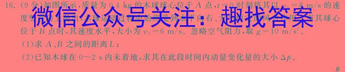 2023年云学名校联盟高二11月期中联考物理试卷答案