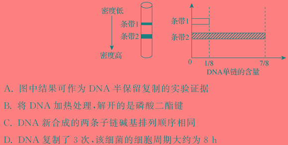 怀仁一中高一年级2023-2024学年上学期期中考试(241349D)生物学部分