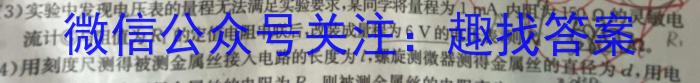 文博志鸿·河南省2023-2024学年九年级第一学期学情分析二物理试题答案