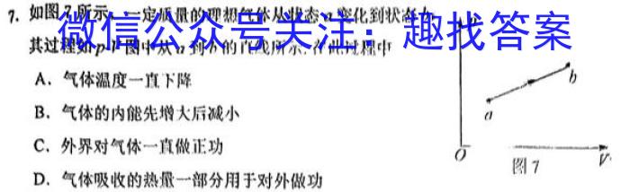 河南省2023-2024学年度高一年级期中考试卷（新教材）f物理