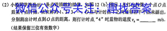 2024届普通高校招生全国统一考试仿真模拟·全国卷 YX-E(一)物理试卷答案