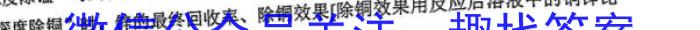 q安徽省2023-2024学年度第一学期九年级阶段性评价（11月）化学