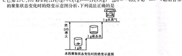 1江西省2024届九年级12月月考（三）化学试卷答案