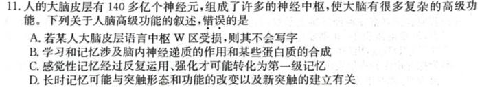 陕西省咸阳市2023-2024学年度第一学期八年级第二次作业C生物