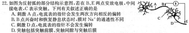 陕西学林教育 2023~2024学年度第一学期九年级期中教学检测试题(卷)生物