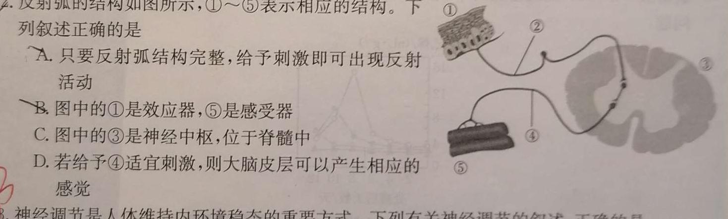 江西省2026届七年级《学业测评》分段训练（二）生物