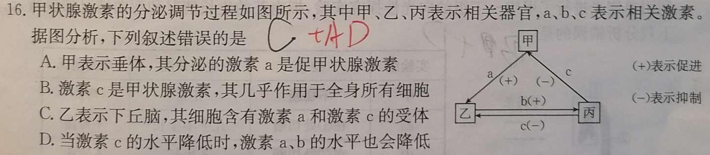 江西省2024届高三第三次联考(11月)生物学试题答案