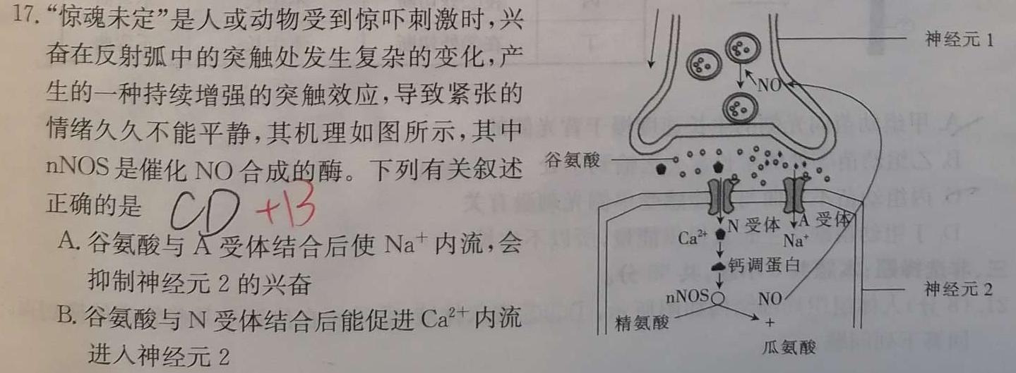 非凡吉创 2024届高三年级TOP二十名校调研考试六(243165D)生物