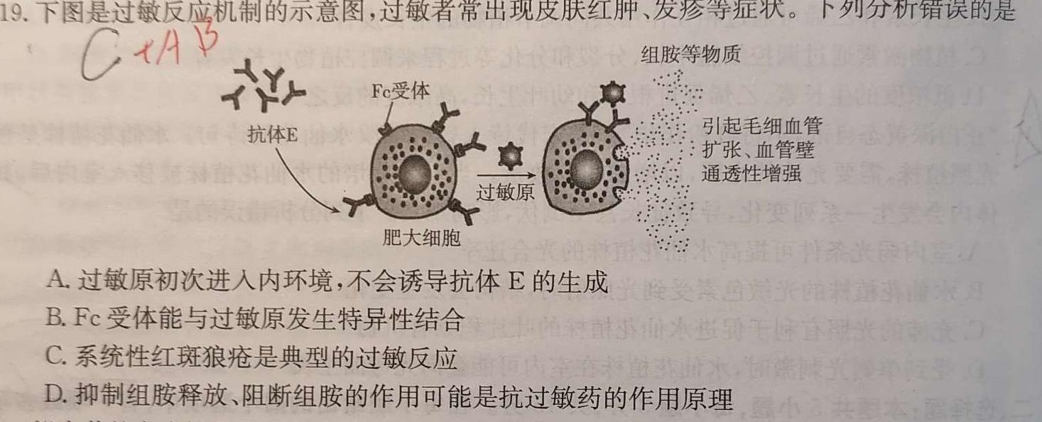 山西省2023~2024年度高二11月期中联合测评生物