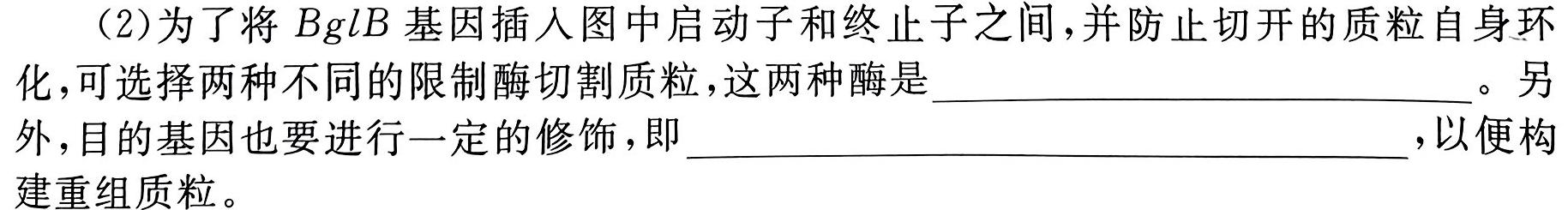 24届高三年级TOP二十名校调研考试八生物