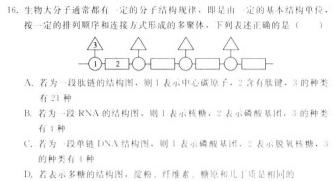 学科网2024届高三12月大联考(全国甲卷)生物学试题答案