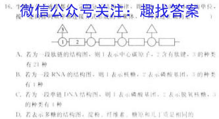 百师联盟 2024届高三一轮复习12月大联考生物学试题答案