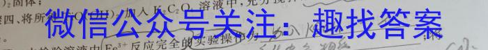 q"2024年全国普通高等学校招生统一考试·A区专用 JY高三模拟卷(一)化学