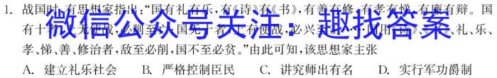 2024年普通高等学校全国统一模拟招生考试新未来高三12月联考历史