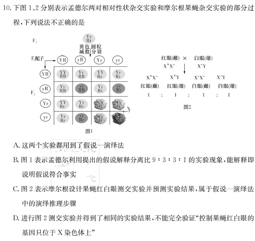 山西省2023-2024学年度九年级阶段第三次月考（C）生物学试题答案