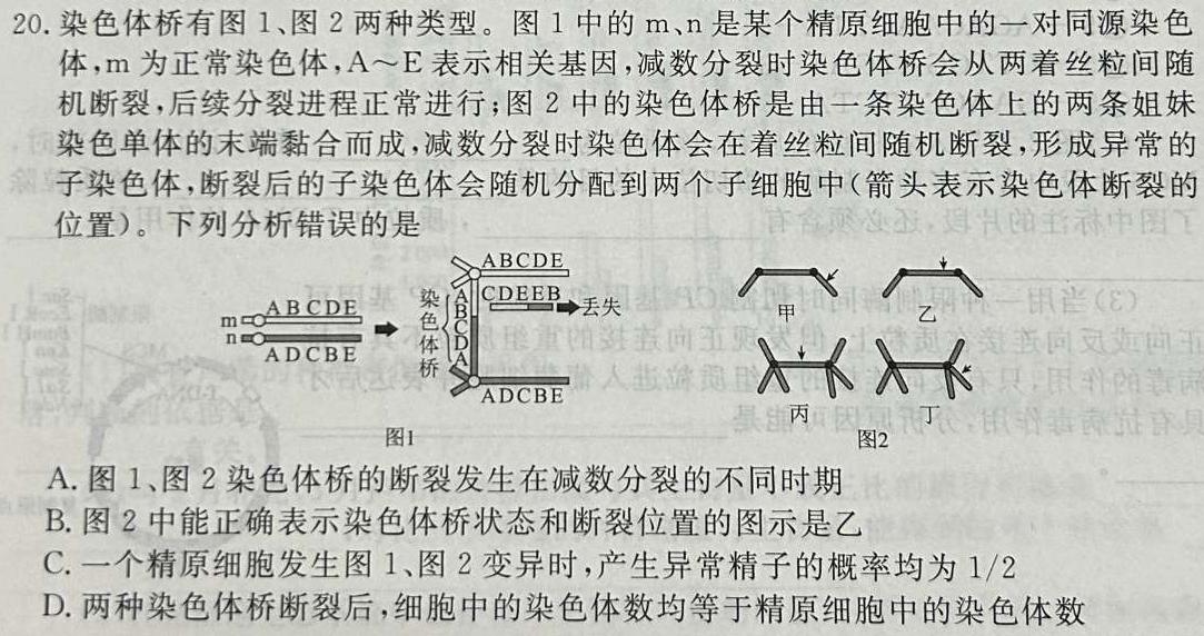 稳派大联考2023-2024学年高一期中考试11月联考生物学试题答案