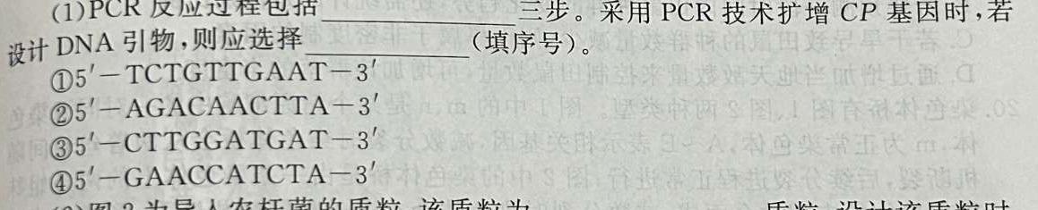 甘肃省2024届高三12月高三阶段检测生物学试题答案