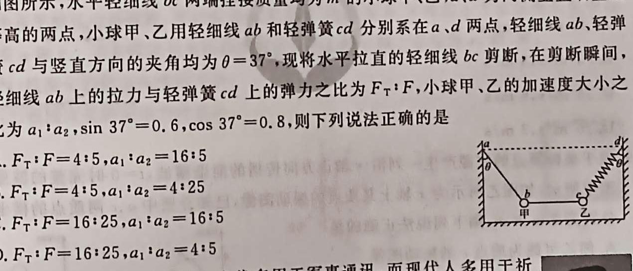 安徽省六安皋城中学2024届初三阶段性目标检测（四）物理试题.