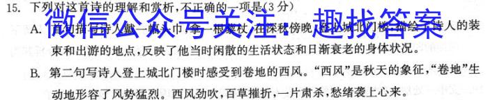 衡中同卷 2023-2024学年度高三一轮复习滚动卷(四)语文