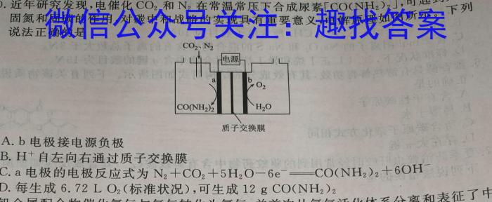 q河北省2023~2024学年高三(上)期中考试(24-165C)化学