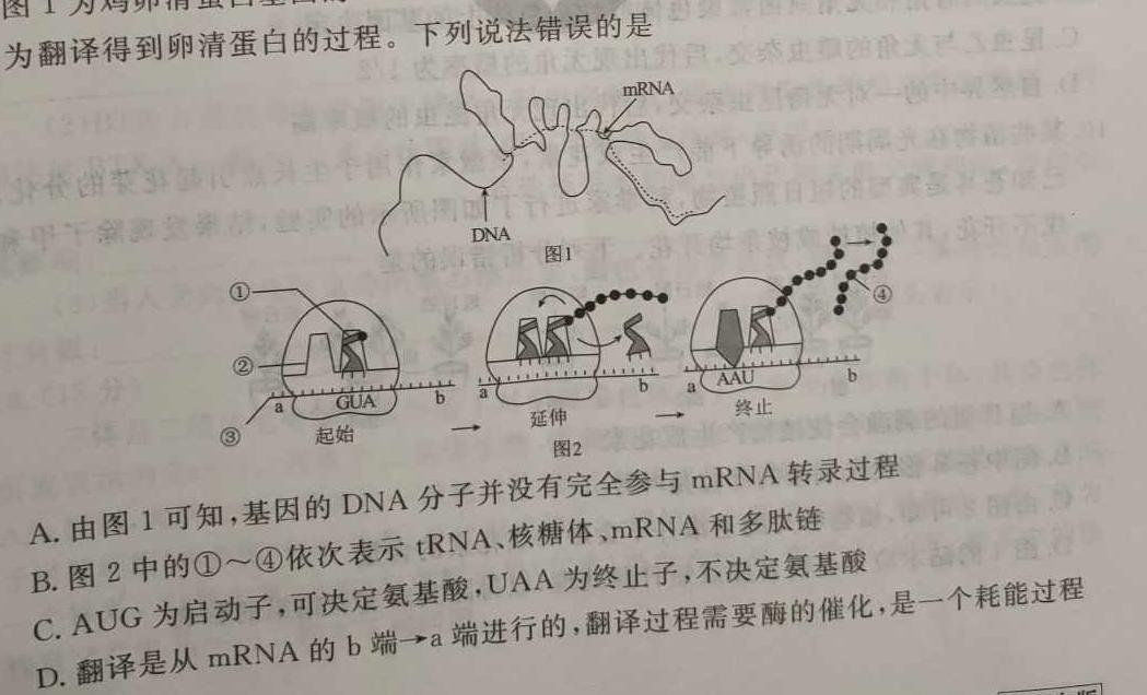 河北省石家庄市赵县2023-2024学年度第一学期期中学业质量检测七年级生物学试题答案