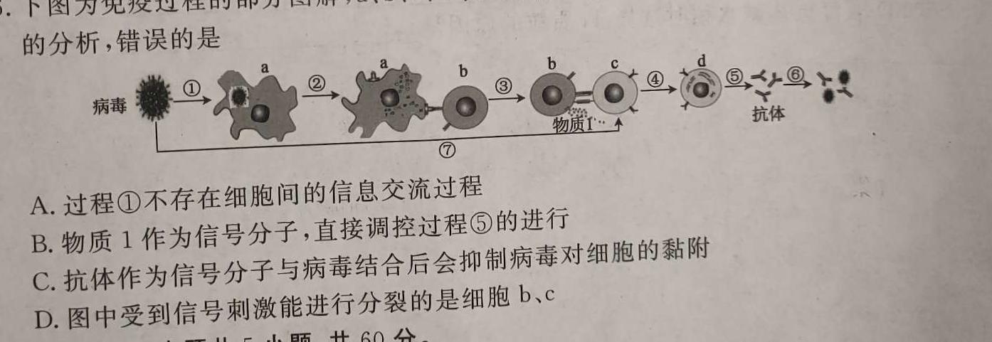 安徽省2024届“皖南八校”高三第二次大联考生物学试题答案