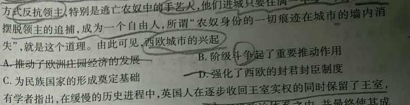 江西省吉安市十校联盟2023-2024学年第一学期九年级期中联考历史