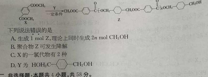 1西南·云师大附中2024届高三11月月考（白黑白白白黑白黑）化学试卷答案