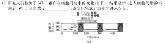 学科网2024届高三12月大联考考后强化卷(全国甲卷)生物