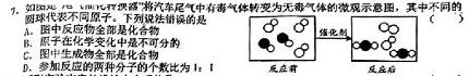 【热荐】安徽省2023-2024学年度第一学期八年级学科素养练习（二）化学