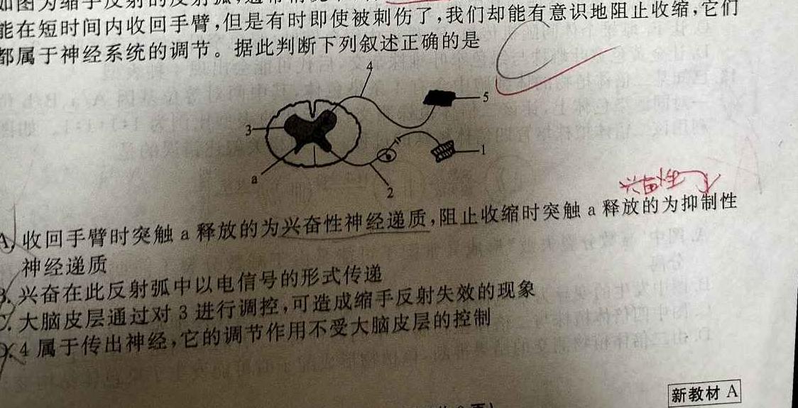陕西省2023-2024学年度九年级第一学期阶段性学习效果评估(五)生物
