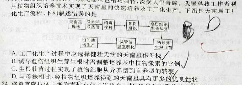 山东省2024届高三年级上学期全省12月联考生物学部分