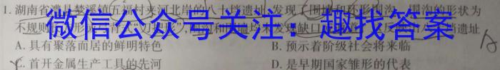 九师联盟 2024届高三12月质量检测S历史