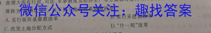 安徽省2024届九年级阶段评估(二)3L R历史试卷答案